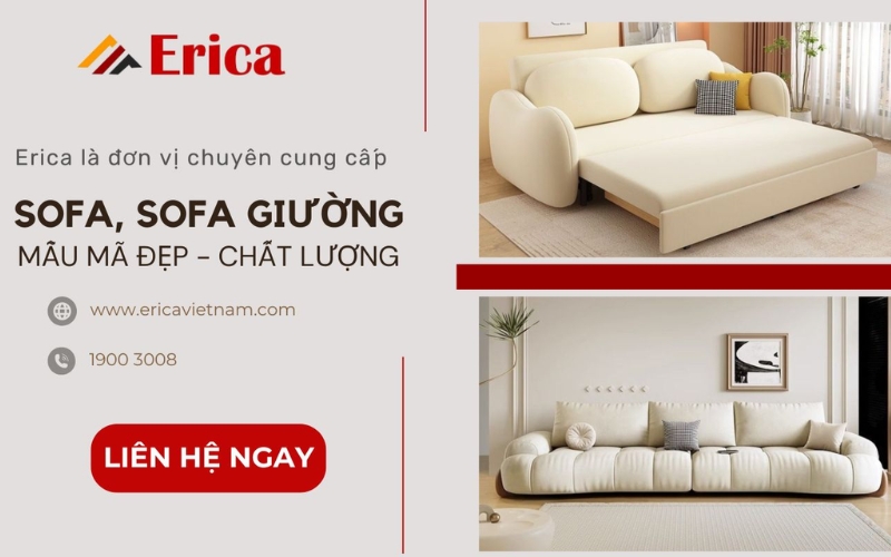 Đơn vị kinh doanh sofa Erica 