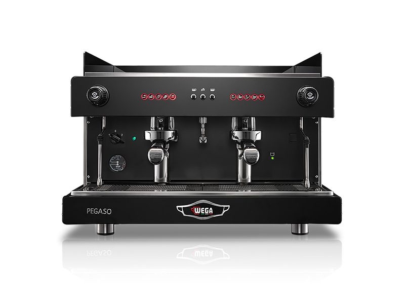 Wega Pegaso 2 Group