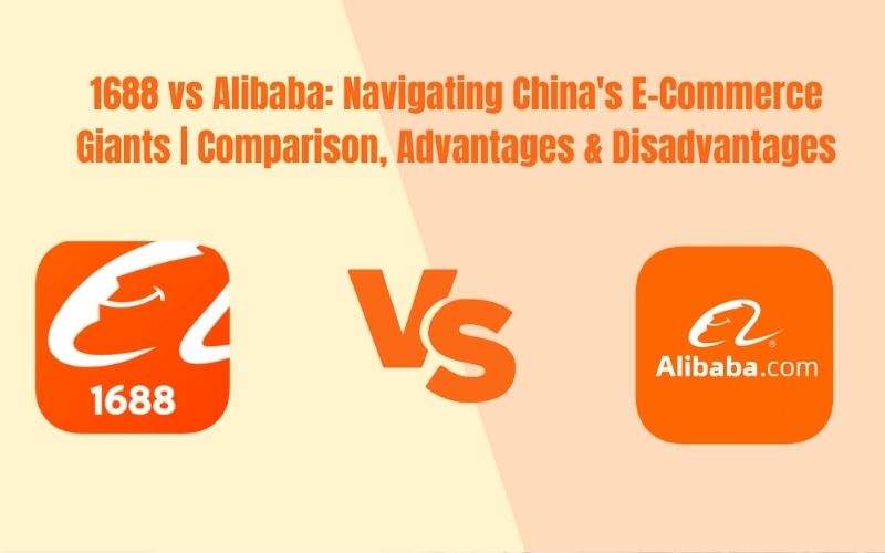 So sánh 1688 và Alibaba sự khác nhau