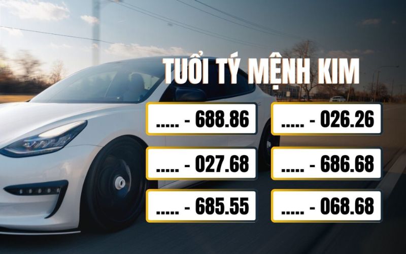 Biển số hợp tuổi Tý mệnh Kim