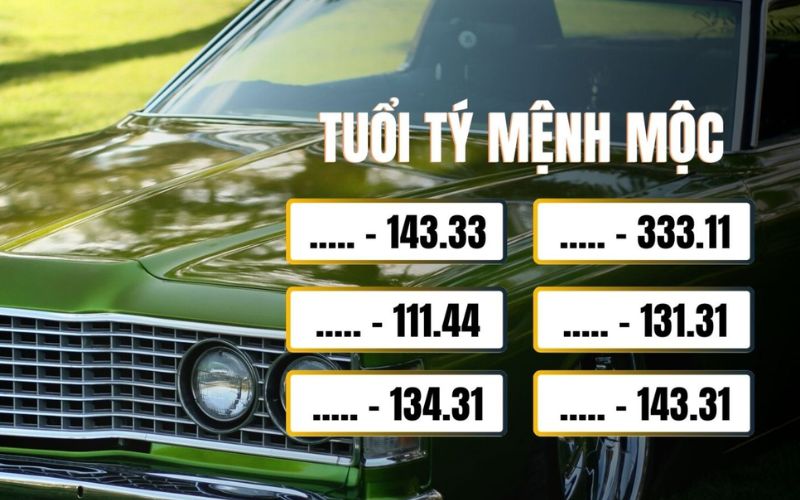 Biển số hợp tuổi Tý mệnh Mộc