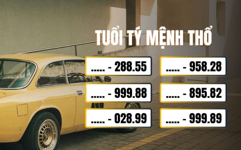 Biển số hợp tuổi Tý mệnh Thổ
